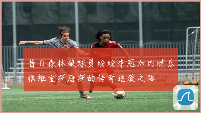 昔日森林狼球员纷纷夺冠加内特乐福维金斯唐斯的传奇逆袭之路